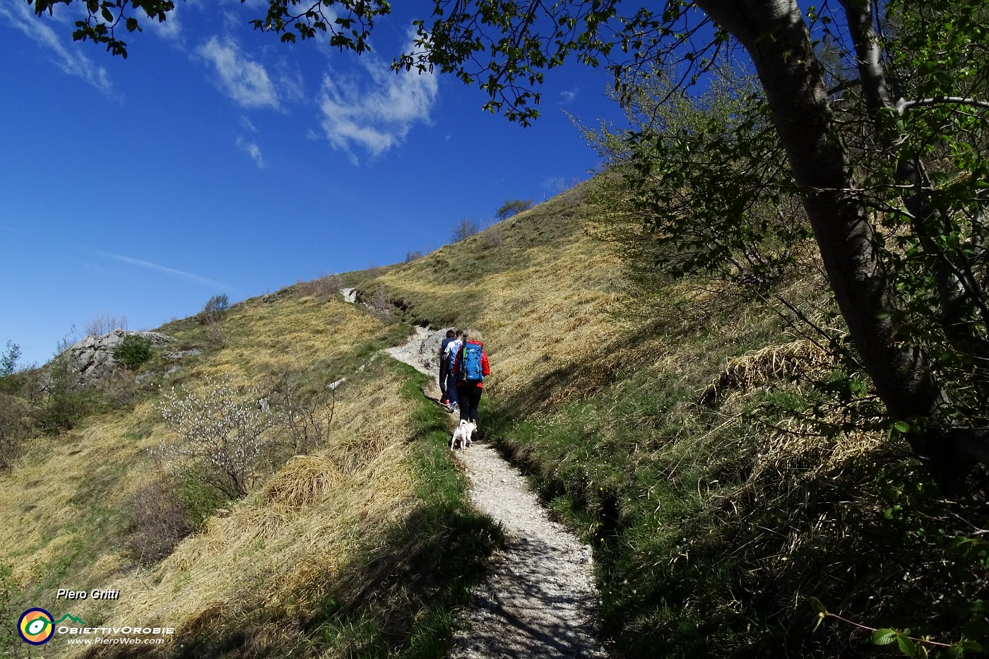 13 Finisce il bosco, si apre il panorama.JPG